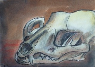 Skull - 1946 08